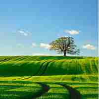 智‌能‍聚﻿合‍页﻿下﻿载​